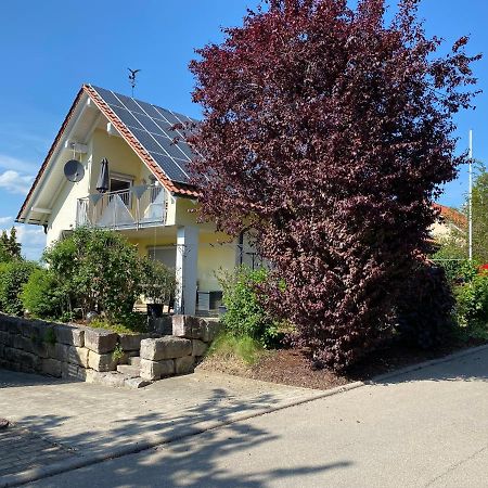 Ferienwohnung Messmer Mit Terrasse Heiligenborn Exterior foto